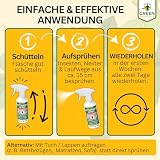 GREEN GUARDIA Bettwanzen Abwehrspray – Sprühfertiges Konzentrat mit pflanzlichen Ölen | 500 ml für Zuhause & Schlafzimmer | zur gezielten Abwehr von Bettwanzen und Spaltenbewohnern
