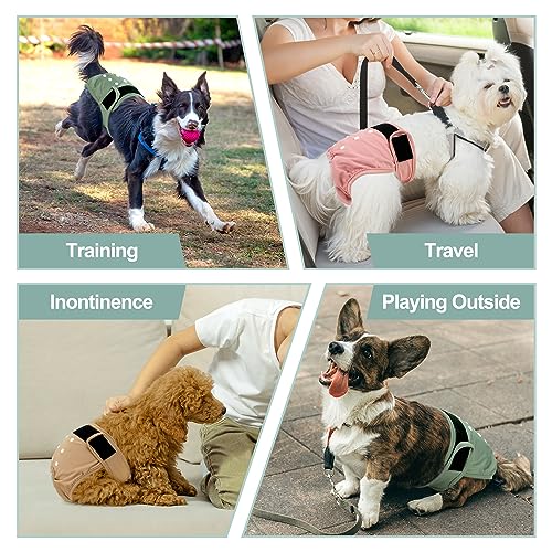 Image of Washable Female Dog Diapers - Premium Reusable Diapers for Doggie in Heat - Highly Absorbent Dog Diapers Female for Pet Incontinence with Adjustable Snaps (Pink, M)