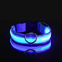 Coleira LED para Cães Recarregável por USB – Ajustável, Visível à Noite, Alta Segurança para Passeios (Azul, XG)