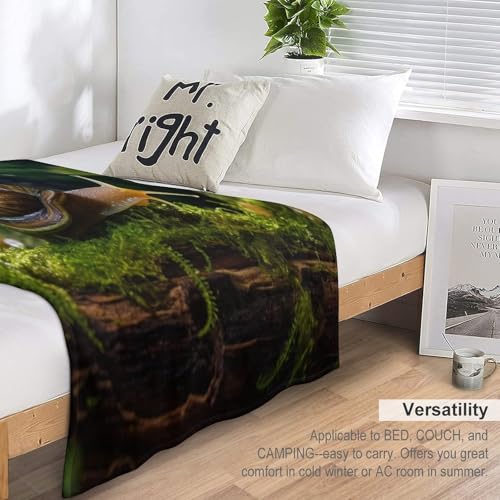Couverture motif escargots douce et légère pour nuits fraîches - 7