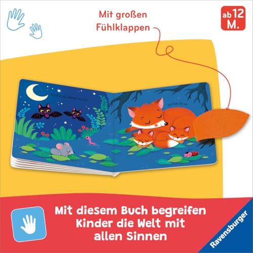 Wo bist du, kleiner Fuchs? Mit großen Fühl-Klappen - Spielbuch mit Stoff-Klappen, Kinderbuch ab 12 Monaten: Mit großen Fühl-Klappen