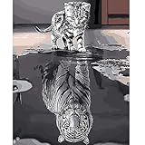 Malen Nach Zahlen Set: 1 Satz Pigment, 3 Pinsel in unterschiedlichen Größen, 1 Leinwand Malerei. Größe 40x50 cm/15.7*19.6in.