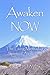 Awaken NOW: The Living Method of Spiritual Awakening
