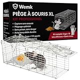 ✅ NOUVEAU : DESIGN PLIABLE & COMPACT – Notre piège à souris XL est désormais pliable, ce qui permet un gain de place optimal lorsque vous ne l’utilisez pas. Facile à ranger et à transporter, il se déplie en une seconde pour une utilisation immédiate. Idéal pour ceux qui recherchent une solution efficace sans encombrement.