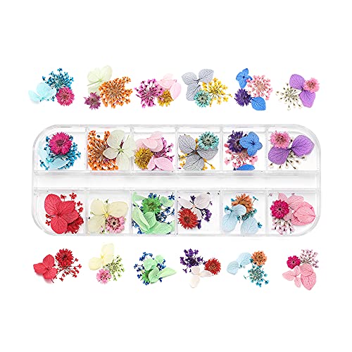 Flor seca real para manualidades y decoración miniatura 3
