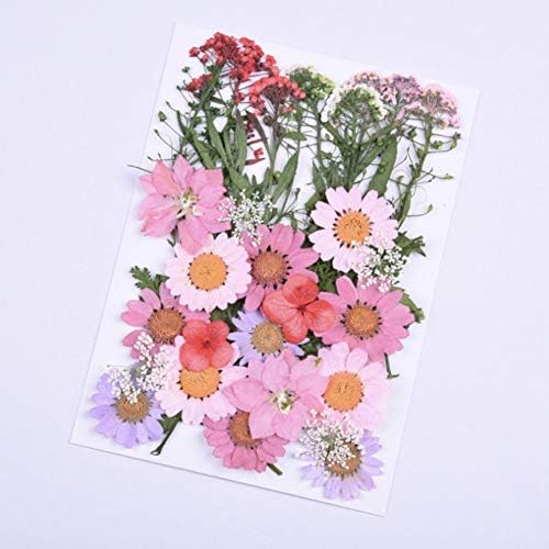 CheeseandU Real Mixed Multiple Dried Pressed Flowers, Mini Rose, Daisy, Larkspur, Queen Anne's Lace Hydrangea Alyssum Leaves Natural Pressed Flowers For Art Craft DIY Resin, 35PCS