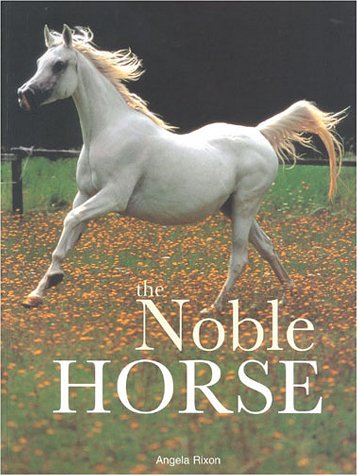 The Noble Horse: Rixon, Angela: 9781842153307: Amazon.com: Books