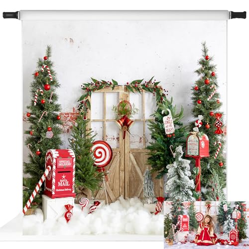 Toile de fond Noël Kate 3x3m en tissu microfibre lavable pour studio photo