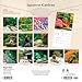 Japanese Gardens 2026 12 X 24 Inch (Hanging) Monthly Square Wall Calendar Plastic-Free