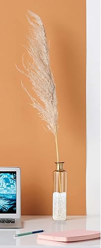 Miniatura 14 de Piedras pulidas pulidas de cristal de fluorita de 1 libra para acuario, piedras pulidas, chips de cristal de forma irregular, a granel, piedras