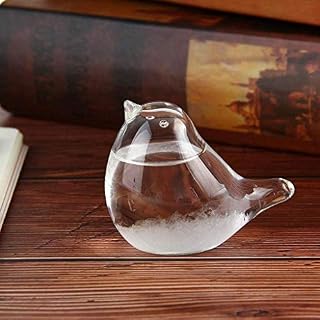 Color You Storm Glass Weather Forecaster Weather Station Liquid Barometer Weather Predictor Fashion Creative Office Desktop and Home Decorative Weather Glass for Home & Office Durable and Useful