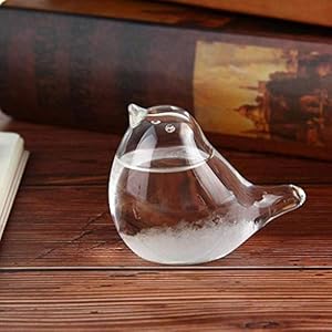 Color You Storm Glass Weather Forecaster Weather Station Liquid Barometer Weather Predictor Fashion Creative Office…
