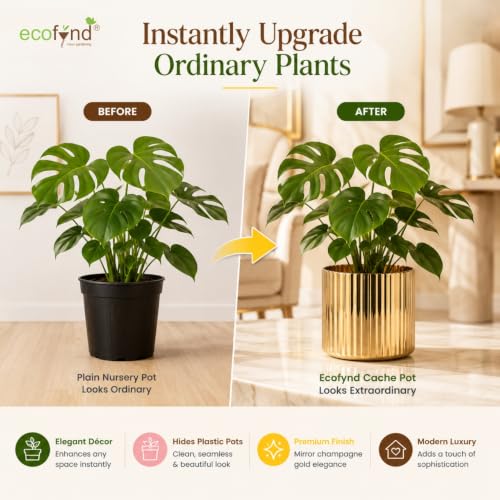 Image of ecofynd 1 Pack Metal Plant Pots (6 inch), Indoor Small Planter Flower Pots, Home Garden Decor Planter for Living Room Bedroom Interior (Gold Finish, POT048)
