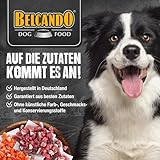 BELCANDO Nassfutter für Hunde, Pferd mit Kartoffel, 6X 800g Dose, Hundefutter nass, für alle Rassen, Made in Germany