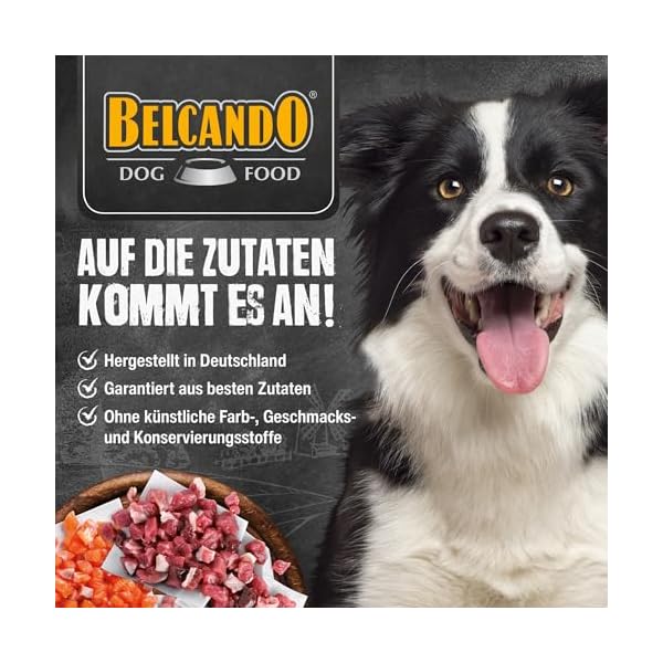 Belcando Super Premium Dose [Iberico mit Kichererbsen & Preiselbeeren] | Nassfutter für Hunde | Feuchtfutter Dose | Alleinfutter für Hunde Aller Rassen – Bild 7