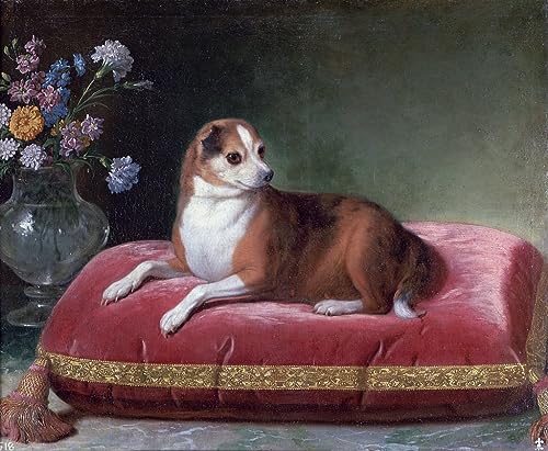 La chienne sur un coussin Jean Ranc toile pour habiller un grand mur vide