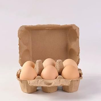 Duck Egg Cartons 15 Pack- Holds Up to Half Dozen 6 Count Eggs Bulk Blank Container Empty Cardboard Thickness Natural Pulp Egg Boxes