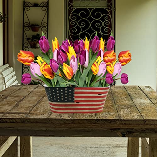Very Cool Stuff Stars & Stripes Oval Planter, 17-Inch Length #TOP2