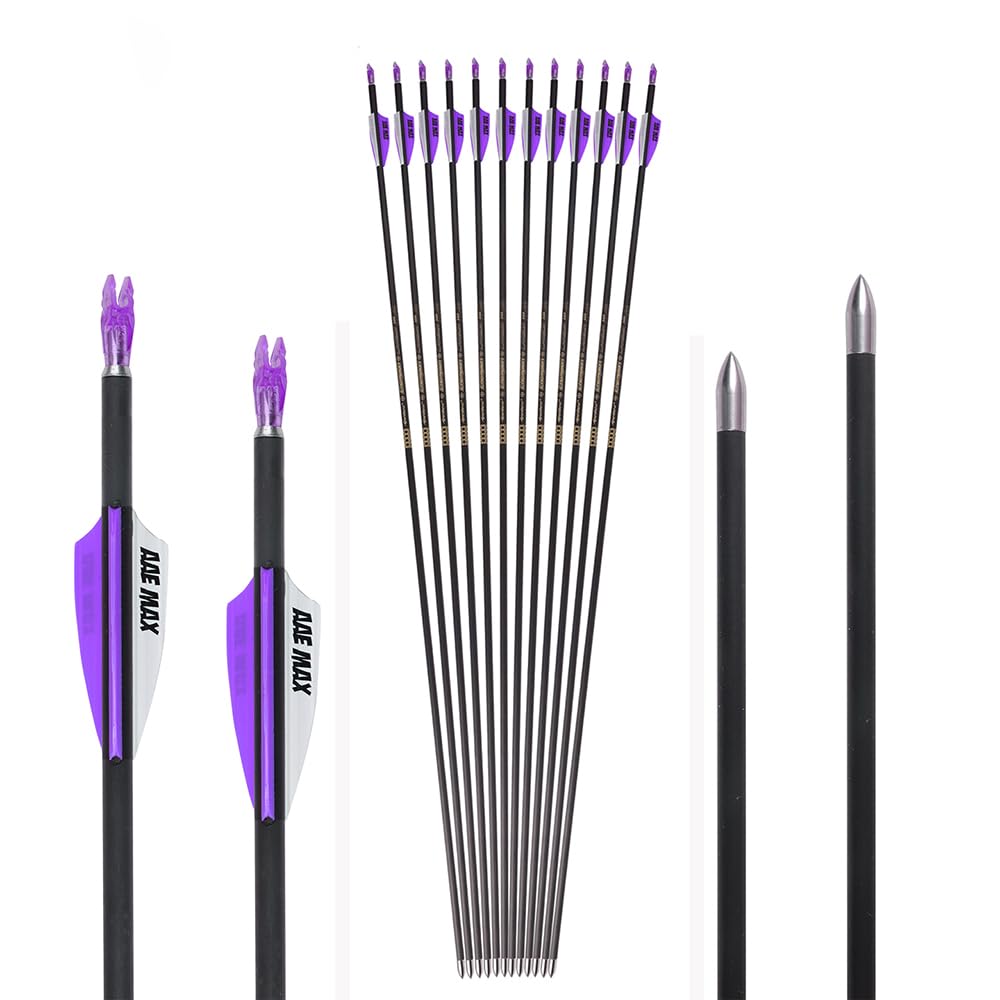 12 Pezzi Frecce da Competizione ID 4,2 mm Viola Bianco Scanalature per l'aria Piuma Freccia da Tiro con L'Arco Spine 300 400 500 600 700 800 900 1000 1100 1200 1300 1400 1500