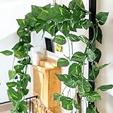 SAUDEEP INDIA Artificial Green Leaf Money Plant Garland | 7.2 Feet Bel Vine Creeper | Realistic Hanging Fake Leaves Ivy | Home Decor for Door, Wall, Balcony, Garden & Festival Decoration (3 Vines)