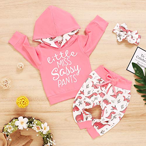 Pigmama Infant 3 Pcs Baby Girl Clothes Sets Long Sleeve Hoodie Shirt Tops Dinosaur Pant Headband Outfits 0-6 Months #TOP3