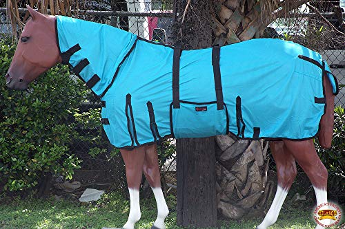 image for HILASON Horse Fly Sheet - Summer Spring UV Protection Mesh Bug Mosquit