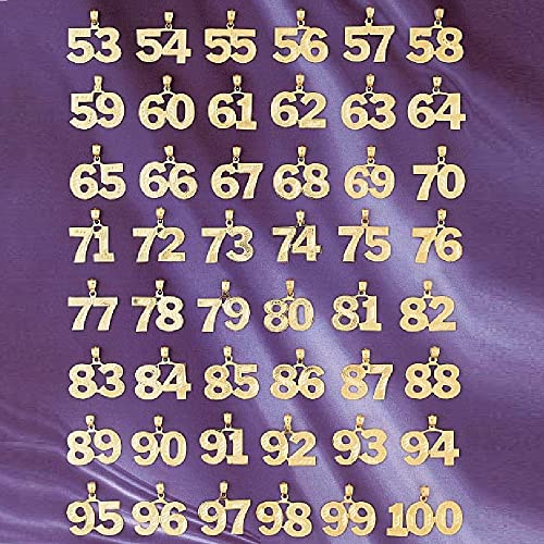 0 to 100 Any One 14K Yellow Gold Number Pendant/Charm, Made in USA3