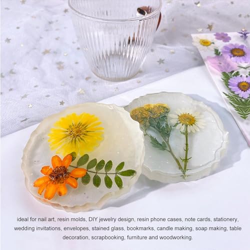 5 bolsas / 100 piezas flores secas prensadas para manualidades miniatura 3