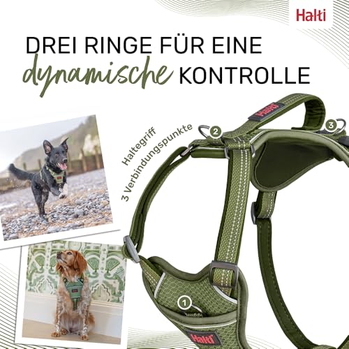 HALTI Anatomy Hundegeschirr mit Griff – Bewegungsfreiheit für deinen Hund. 3 Verbindungspunkte für die Leine, Neoprenpolsterung, verstellbar und reflektierend (Größe L, Grün)