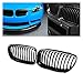 susongxianyinzhengpingbaihuoshanghang 2 SZTUK Car Front Hood Grille Grille Grill Mesh Jasne czarne kratki wyścigowe pasują do -BMW E90 E91 325i 328i 335i 2009-2011 (Color : Bright black)