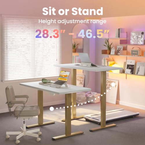 Image of HUANUO 48x24 Inch Electric Standing Desk, Height Adjustable