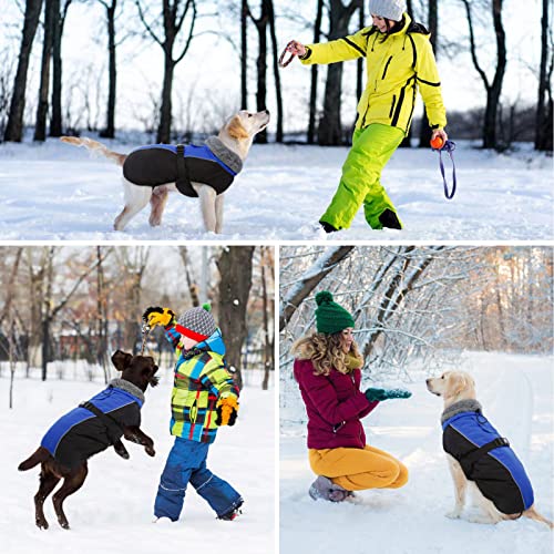 Wasserdichter Hundemantel Winter Warme Hundejacke, Hundebekleidung Outfit für kleine mittel große Hunde, Hundepullover mit Sicheren Reflexstreifen für Labrador Chihuahua Französische Bulldogge