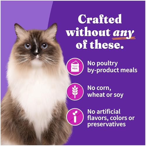 Halo Pate Wet Cat Food, Real Turkey & Duck Recipe, 5.5 oz Can, 4-Pack - image 4