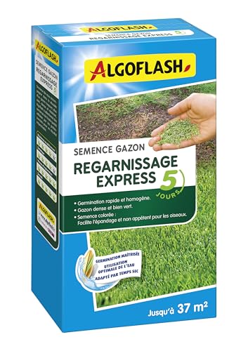Algoflash Semence Gazon Regarnissage Express 800g Verte