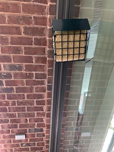 Magerdy Fields Window Suet Bird Feeder - Single Suet Cake Holder With Roof - Outside Decor - Attract Wild Birds, Woodpeckers - Complete With Hanging Chain #TOP6