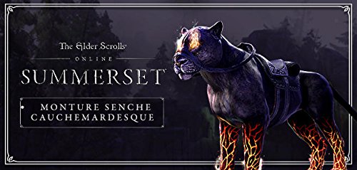 Addon ZeniMax Online Studios The Elder Scrolls Online: Summerset Xbox One RPG en ligne 18+ - vue 6