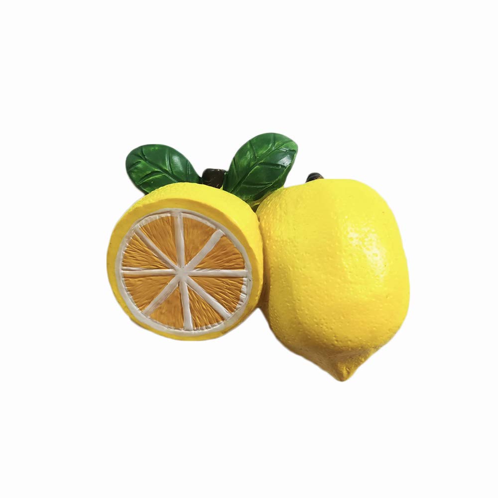 Amazon.com: Fruit 3D Lemon Refrigerator Magnet Resin Travel