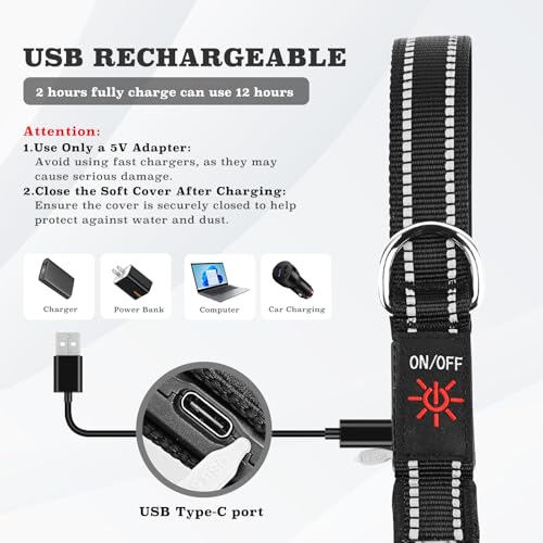 1,2 m LED Hundeleine, Leuchtende Hundeleine mit 7 Leuchtmodi, Reflektierend, Glow in The Dark, Beidseitig Leuchtend, USB Wiederaufladbar, Gepolsterter Griff, Nachtsicherheit für Kleine & Große Hunde