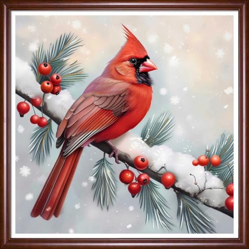 Image of Findvoor Stamped Cross Stitch Kits for Beginner Embroidery Kits for Beginners Adults DIY 11CT Cross Stitch Patterns Needlepoint Kits Crossstitching Kits-Birds on Tree, Snow Scenery 18x18 inch