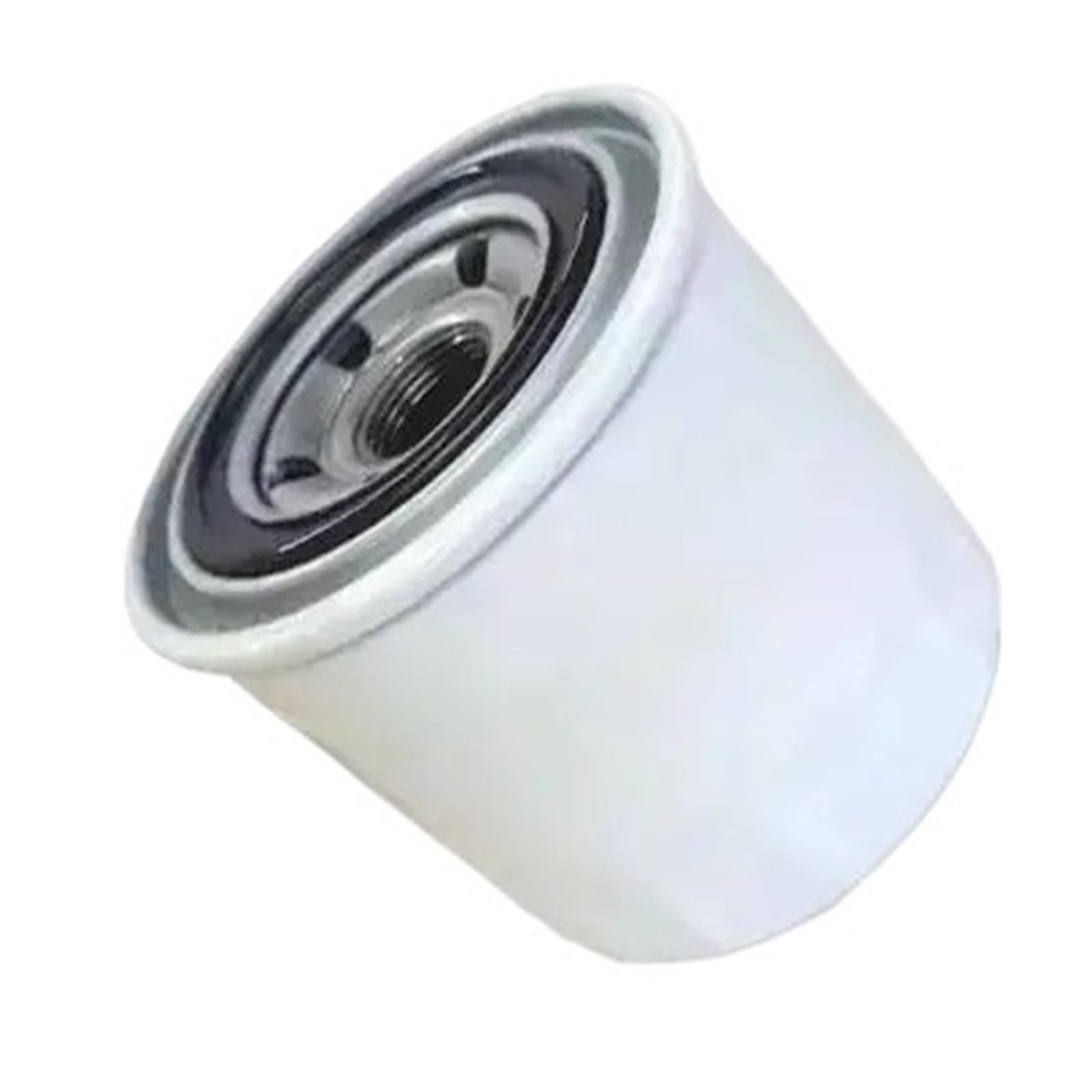 ZVQYSGIW 4463783 oil filter element