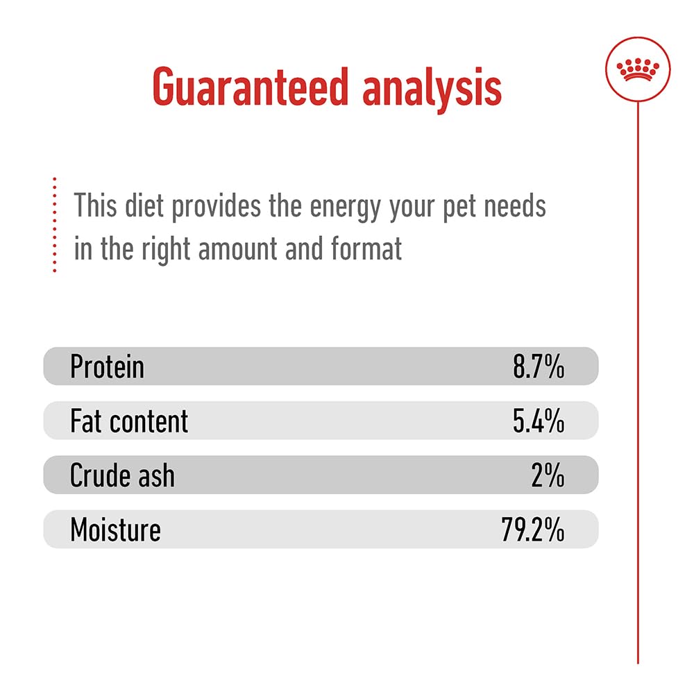 Royal Canin Maxi Adult | 12 x 410 g | Alimento completo per cani grandi adulti (26-44 kg) | Cibo umido ricco di nutrienti ed equilibrato con proteine altamente digeribili