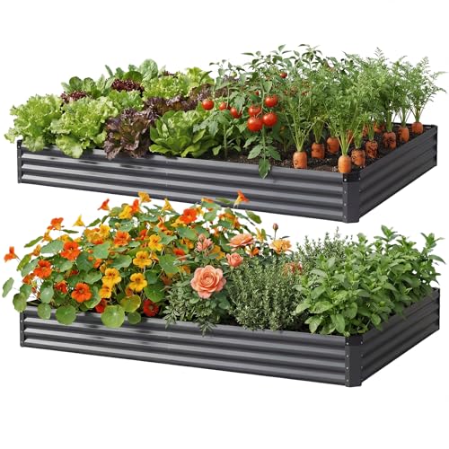 Reachible 2Packs 6X3X1 FT Raised Garden Beds Outdoor, Planter Raised Beds for Gardening, Vegetables, Flowers, Large Metal Garden Box, Deep Plant Flower pots Outdoor(Dark Gray)