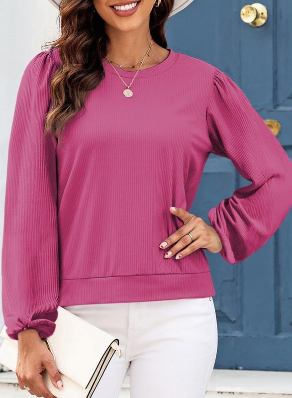 Miniatura 2 de SHEWIN Women's Crewneck Long Sleeve Womens Tops Knit T Shirts Sweatshirts for Women