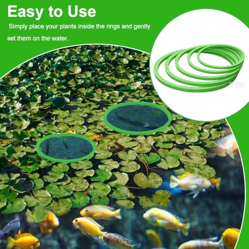 Schwimmende Pflanzenringe für Aquarium, Aquarium Schwimmpflanzen, Fischfutterring für Aquarien, Pflanzenringe, Schwimmende Pflanze Fisch Futterring, 5 Größen