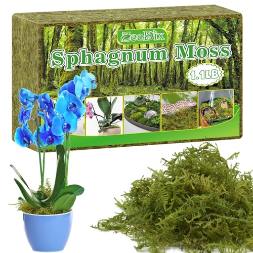 ZeeDix 500g Natural Moss for Plants Long Fibered Dried Sphagnum Moss Substrate for Orchids & Reptile Habitat Terrarium Decor