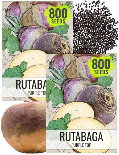 Seed Needs Rutabaga Seeds for Planting Purple Top Rutabagas - Non-GMO Heirloom & Open Pollinated...
