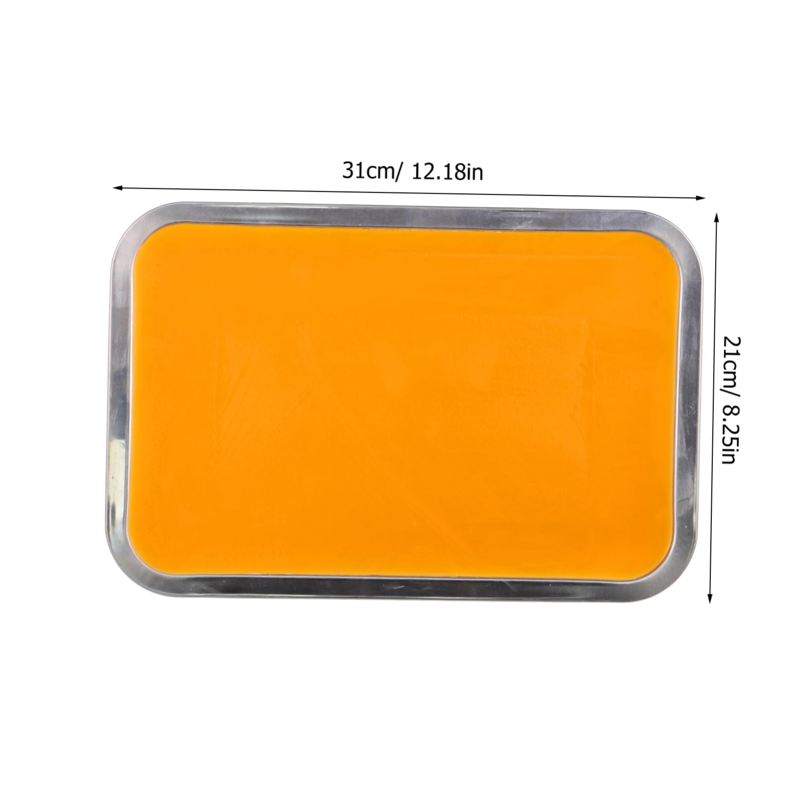 Gatuida Plateau de Dissection de Laboratoire Support de Cire Format A4 Plateau en Acier Inoxydable pour Étude de Découpe de Papier