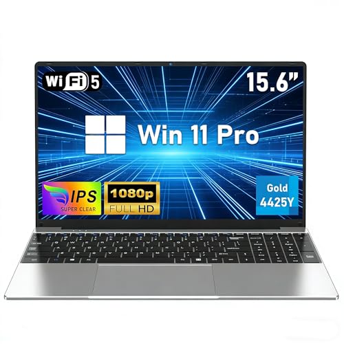 FUNYET Ordenador Portátil, 16 GB de RAM y 256 GB de SSD,Nuevo Laptop de 15,6 Pulgadas de 2026, Pentium Gold 4425Y Portátil,IPS FHD 1920 x 1080,5000 mAh，Teclado numérico，WiFi5