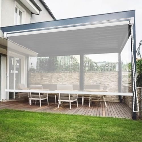 Heavy Duty Clear Windproof Roller Shade for Balcony Patio Transparent PVC Blind & Grommet Custom Size Draft Stopper Waterproof Thermal Insulated Soft Vinyl Partition for Outdoor Indoor(W40X100IN)