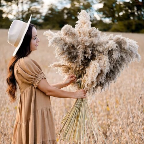 Pampas Grass grande 50-60cm decorativo natural miniatura 5